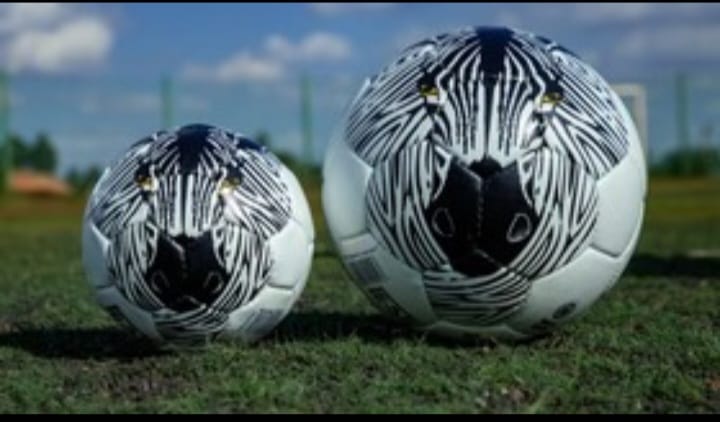 Football Size 5 Animal ball 